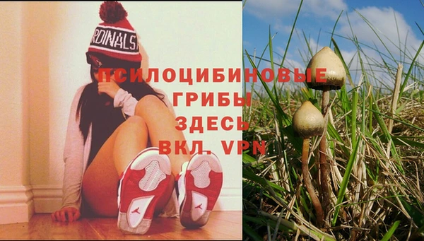 MDMA Premium VHQ Ростов
