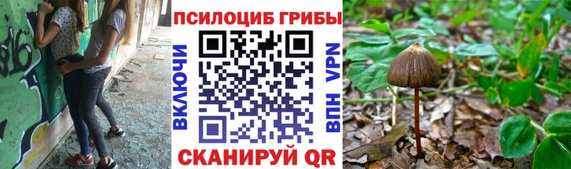 Псилоцибиновые грибы мицелий  blacksprut как войти  Сретенск  даркнет сайт 
